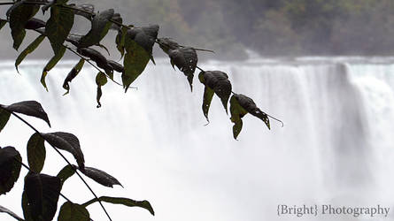 Niagara Falls