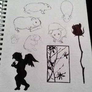 Hairless guinea pig life sketches and silhouettes