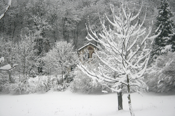 neve ad agrano