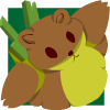 Bear Avatar