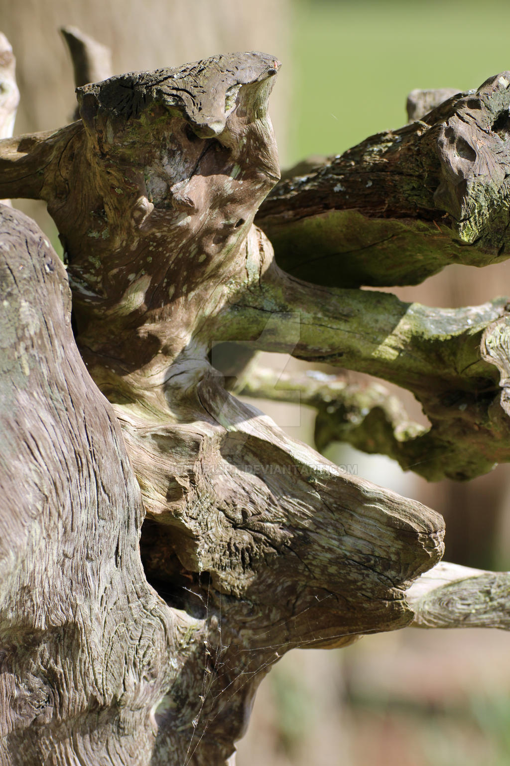 Tree Creature by JohnP1art on DeviantArt