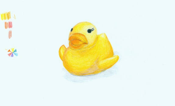 Class Work III - The Duck I