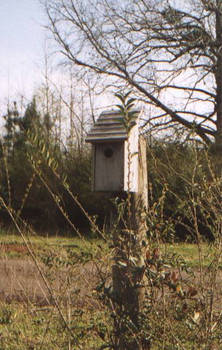 Birdhouse