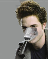 Dogward Cullen