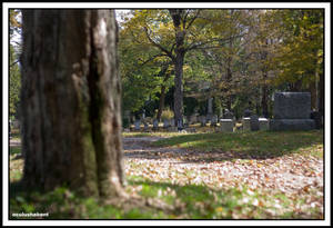 Cemetery 2011