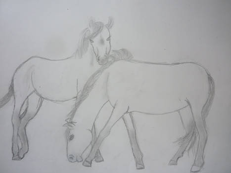 drawing of horses