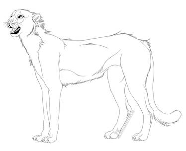 -Free Use- Cheetah Lineart