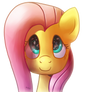 Hello Fluttershy