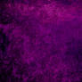Purple Violence