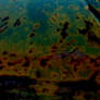 Colourful Rust 7