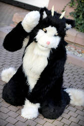 Kuro (Fursuit)