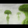 Broccoli trees