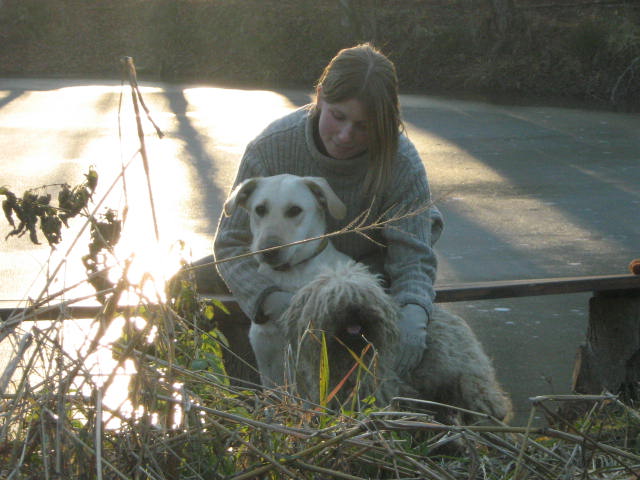 with dogs