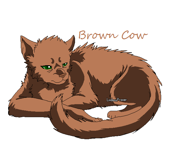 Brown Cow