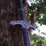 Skyrim Steel Greatsword Replica Close-up