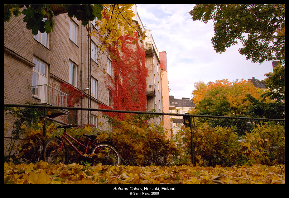 Autumn Colors