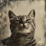 Vintage cat