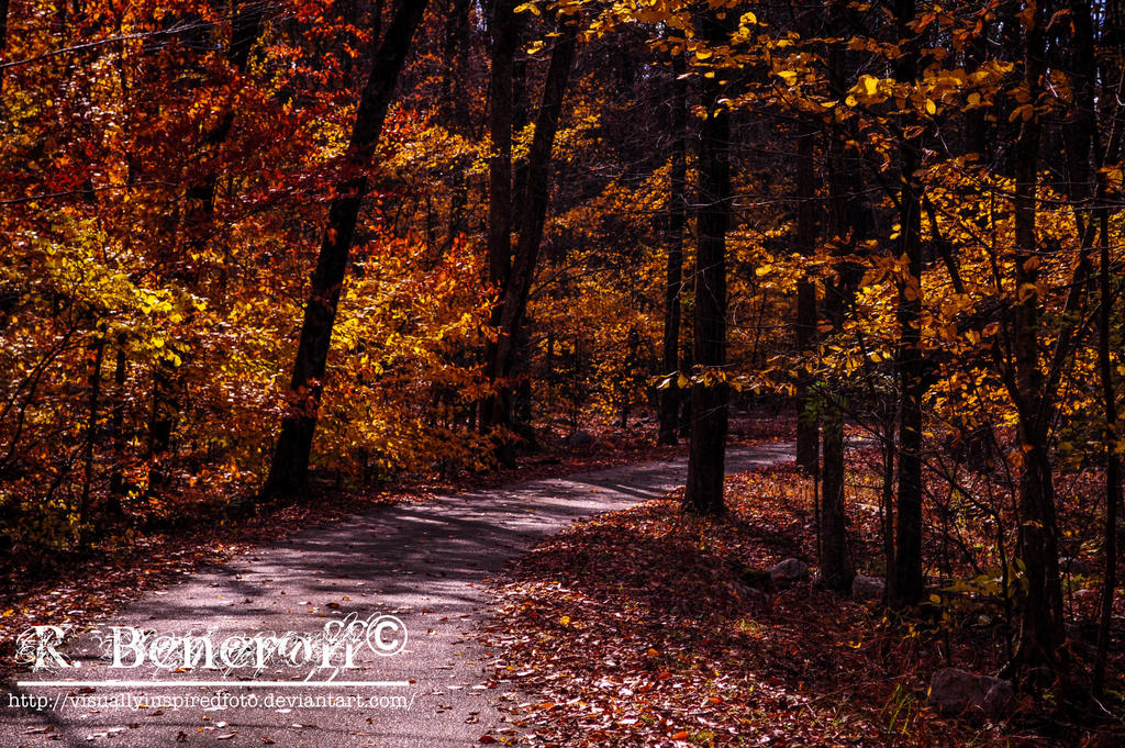 Late Fall Scene by VisuallyInspiredFoto on DeviantArt