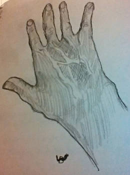 hand