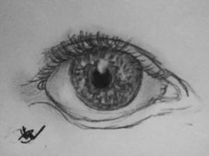 human eye w/ eyelashes