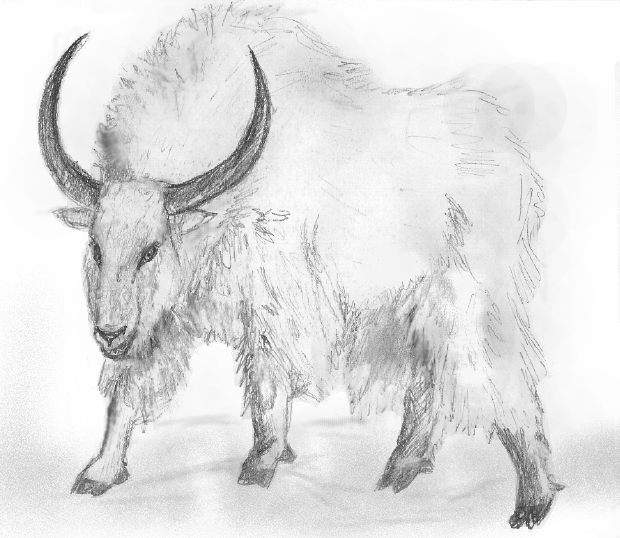 A rabid Graphorn by HILLYMINNE