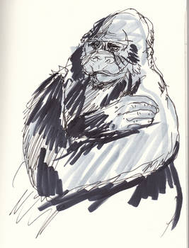 gorilla sketch 1