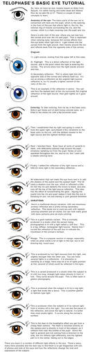 Basic Eye Coloring Tutorial by telophase