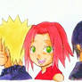 the new TEAM 7