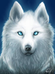 White spirit wolf