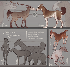 Fauna: Techen'e and Samoe [19-20]