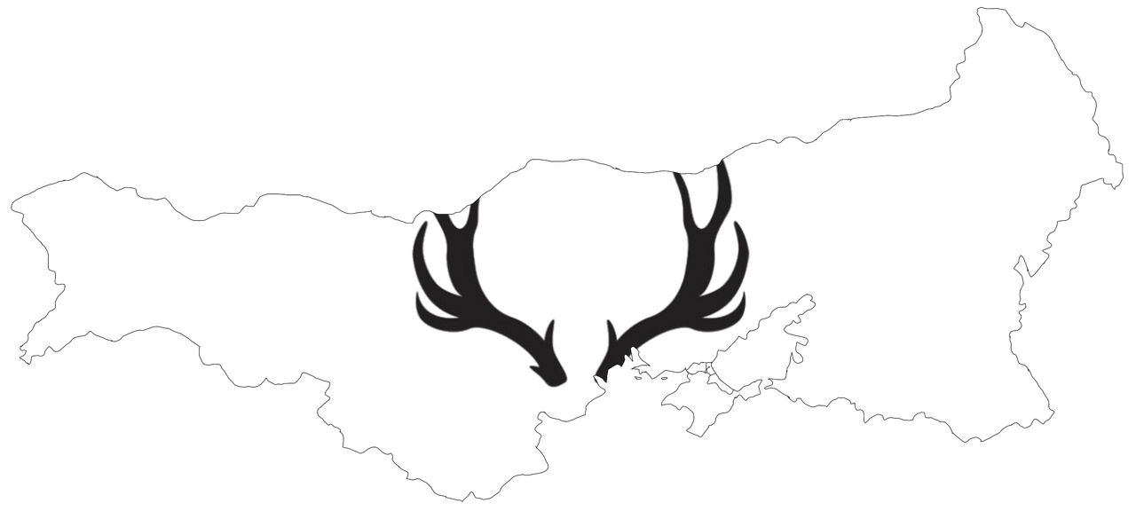 Flag map of Hunnic Empire (Symbol/Flag) by Hitflagmap on DeviantArt