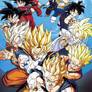 Dragon Ball Z : Goku y Gohan