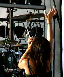 Flyleaf