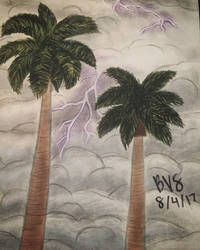Stormy Palm Trees