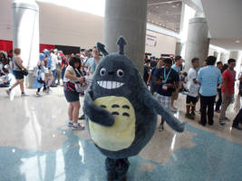 Anime Expo 2012  Totoro