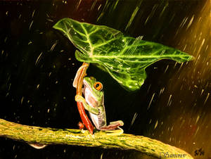 umbrella by MSamsonov umbrella by MSamsonov