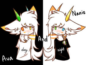 DAY OR NIGHT