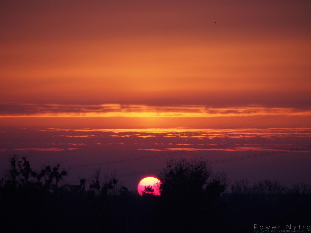 The Sun Rising The rising sun. by COREnick on DeviantArt