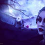 Moonlight