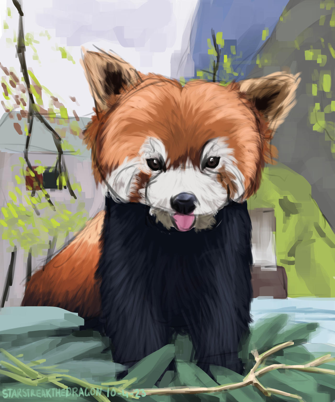 Red Panda with his leaves by StarStreakTheDragon on DeviantArt