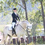 White dressage