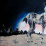 African Wild Dog--2011 BOTG