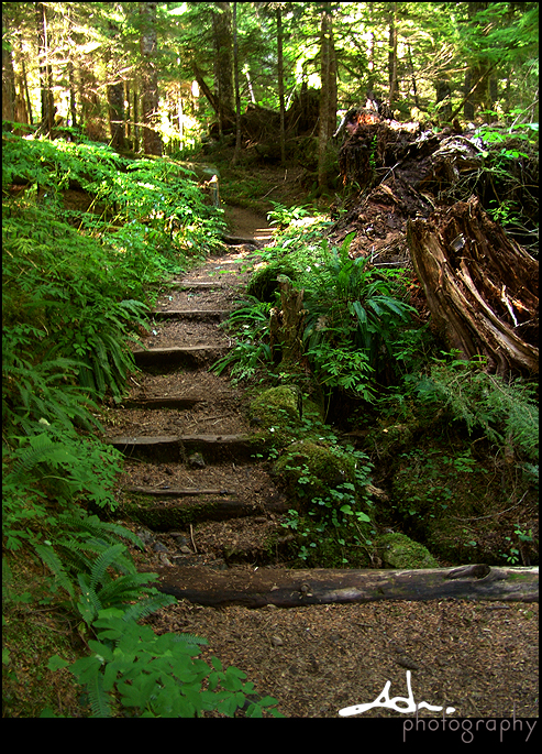 trail steps