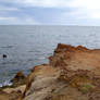 Cliff Stock 1