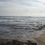 Rye Beach Stock