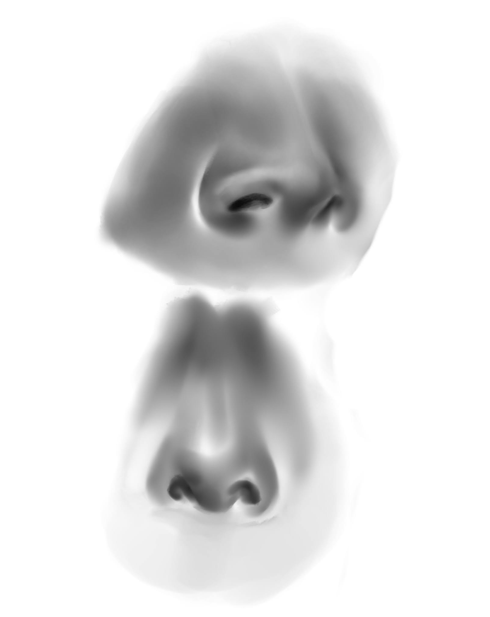Nose studies by Mrs199 on DeviantArt