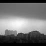 The Morning