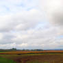 Lowland