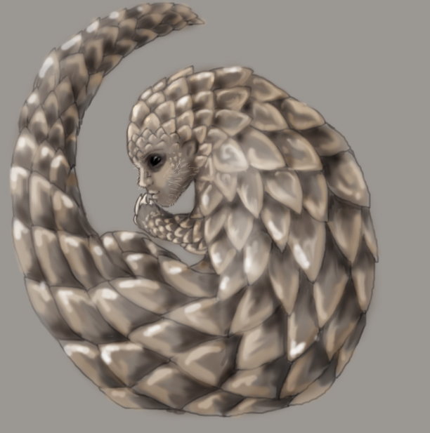 Splice Pangolin Human