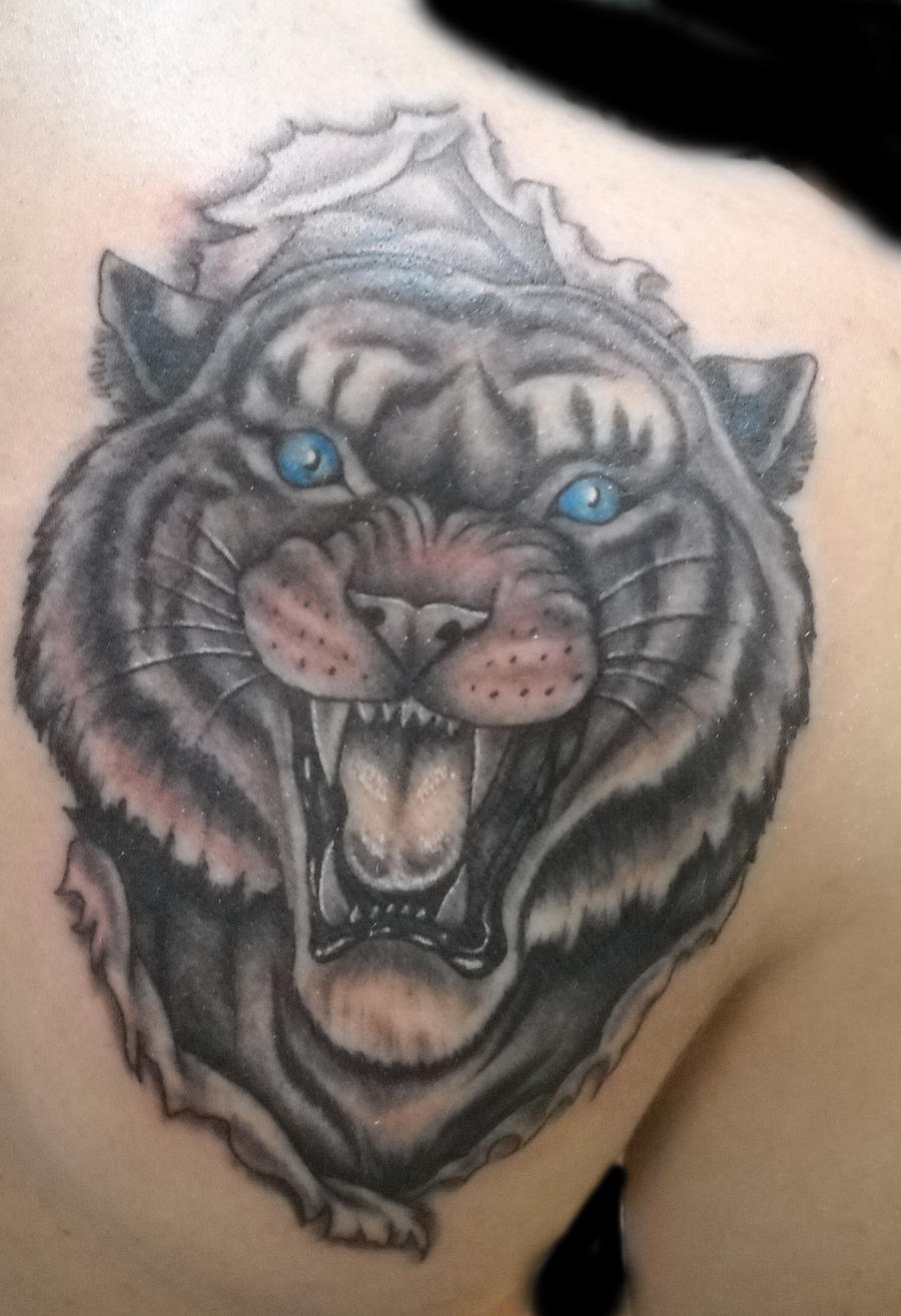 tiger rip tattoo